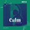 The Lion and the Bull - Debashis Sinha lyrics