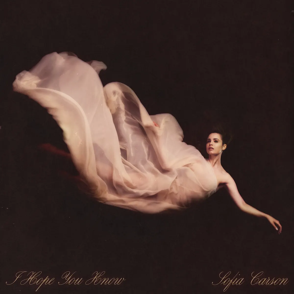 Sofia Carson - I Hope You Know - Single (2024) [iTunes Plus AAC M4A]-新房子