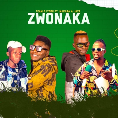 Zwonaka (feat. Mapara a jazz, Bonie Face Sa & DJ wizard) - Single
