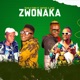 Zwonaka feat Mapara a jazz Bonie Face Sa DJ wizard Single
