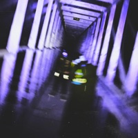 Deadalive - Single - Nashi X