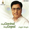 Hey Govind Hey Gopal (Live) - Jagjit Singh