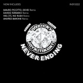 Never Ending (Mauro Picotto & Devid Remix) artwork