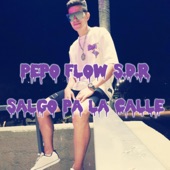 Salgo pa la calle artwork