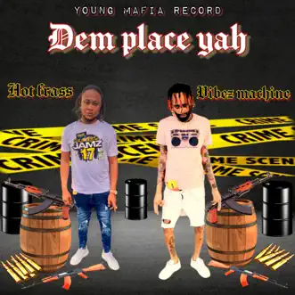 Dem Place Yah - Single by Hot Frass & Vibes Machine album reviews, ratings, credits