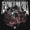 Tearing Down Idols - Single