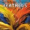 Feathers artwork