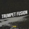 Trumpet Fusion artwork
