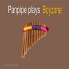 Panpipe Plays Boyzone