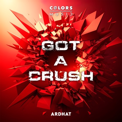 Got a Crush - Single