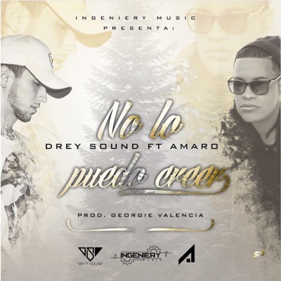 No Lo Puedo Creer (feat. Amaro) - Single