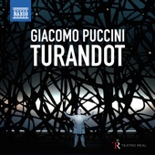 Turandot, SC 91, Act II: Scene 2, Straniero, ascolta artwork