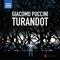 Turandot, SC 91, Act I: Scene 1, Popolo di Pekino! artwork
