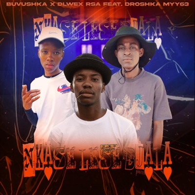 Nkase Lese Bjala (feat. Dlwex Rsa & Droshka Myy63) - Single