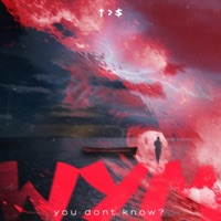 Wym! (feat. Randiizzy) - Single - KVN