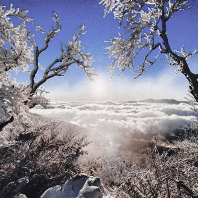 it's okay (feat. Z1M & 80cry) - Single