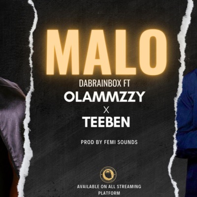 MALO (feat. Olammzzy x Teeben) - Single