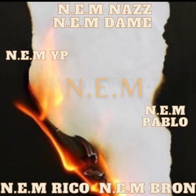 N.E.M