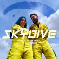 Skydive (feat. Icy Amane) - Single - Fire & BeltranBeats