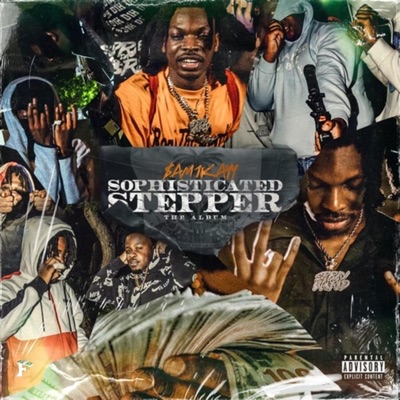 Sophisticated Stepper