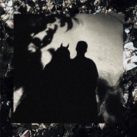 Chaos Is My Queen - YTD