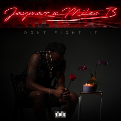 Don't Fight It (feat. Miles B.) - Single