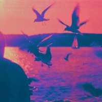 Adore - Single - Andrew Kamen