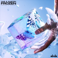 Frozen (with Disrupta) - Single - Che & Subten