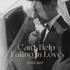 David Bay Music - Can't Help Falling In Love artwork