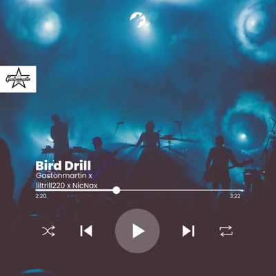 Bird Drill (feat. Nicnac strongpac & liltrill220) - Single