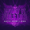 What It Feels Like (Extended Mix) - Single