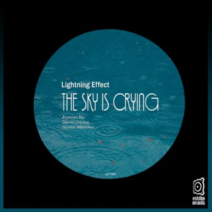 The Sky Is Crying - Single