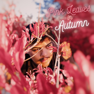 Pink Leaves in Autumn - EP
