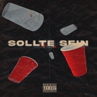 Sollte sein (feat. TRACE) - Single - MORAS