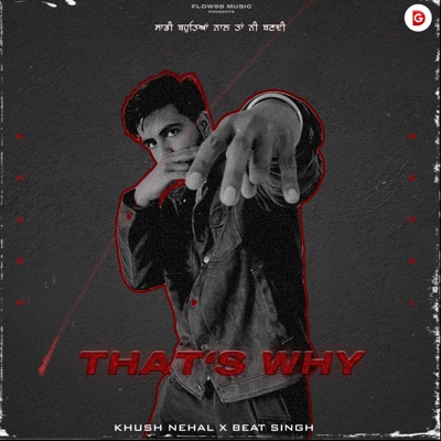 That's Why - Single