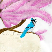 TRACKHONEY (feat. Enasni & Twohead) - Single - Supertired