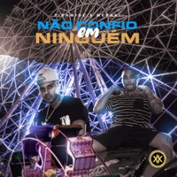 Não Confio em Ninguém - Single - Pirâmide & Meraki