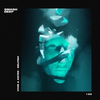 Selfish - Single - VIVID & Aster