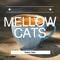 Coffee, Tea and a T-Shirt (Key G Ver.) - Mellow Cats lyrics