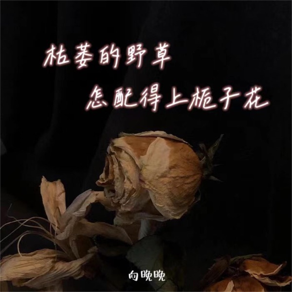 枯萎的野草怎配得上栀子花 - Single