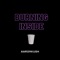 Burning Inside - AaronKush lyrics