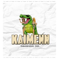 Kaimenn - Single - DJ Vladi