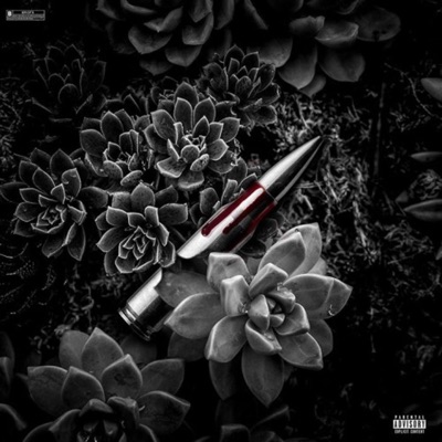 Internet Shooters! (feat. tra5jman, GrindHardr & JxyBxnds) - Single