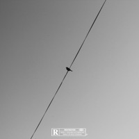 Bird Call - Single - Anthony Bezel