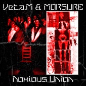 Noxious Union (feat. Veta.M) artwork