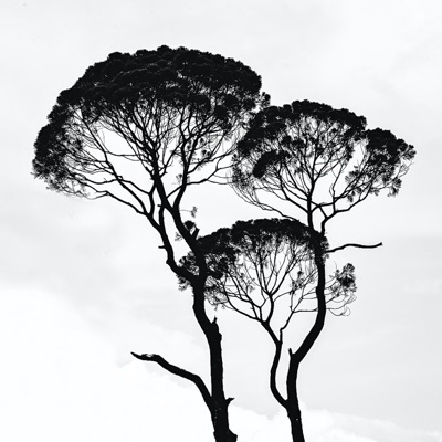 Marble (feat. V SAINTANIC)