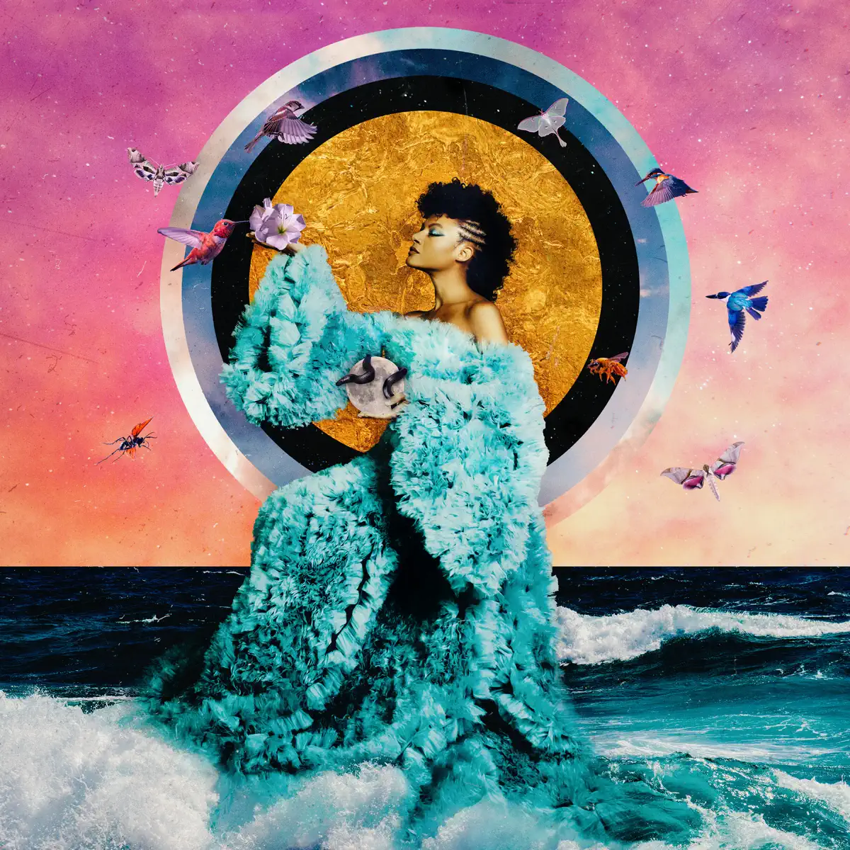 Allison Russell - The Returner (2023) [iTunes Plus AAC M4A]-新房子