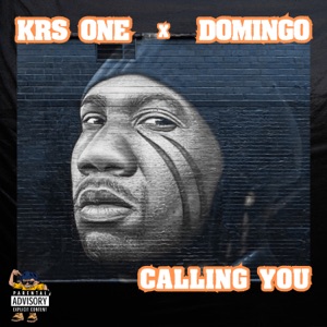 Calling You (feat. Krs One) - Single