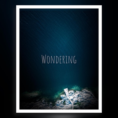 Wondering - Single