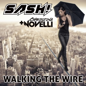 Walking the Wire (Piano Version) - Single